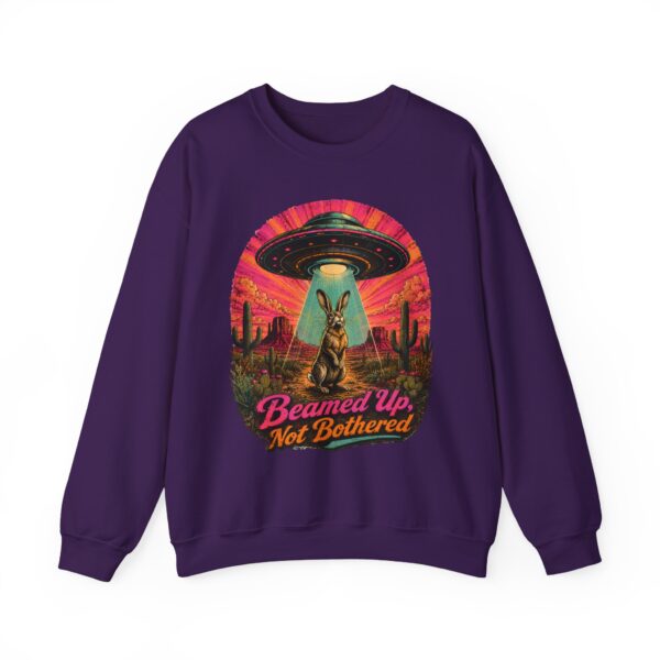 Beamed Up, Not Bothered Sweatshirt — Retro UFO & Jackrabbit Desert Crewneck