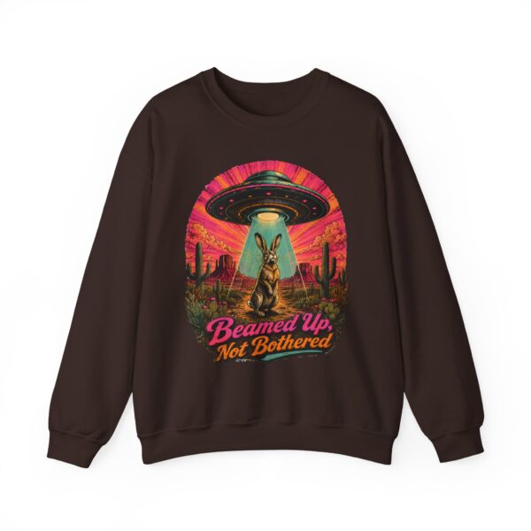 Beamed Up, Not Bothered Sweatshirt — Retro UFO & Jackrabbit Desert Crewneck