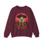 Beamed Up, Not Bothered Sweatshirt — Retro UFO & Jackrabbit Desert Crewneck